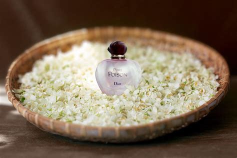 jasmine dior perfume|best jasmine perfume for ladies.